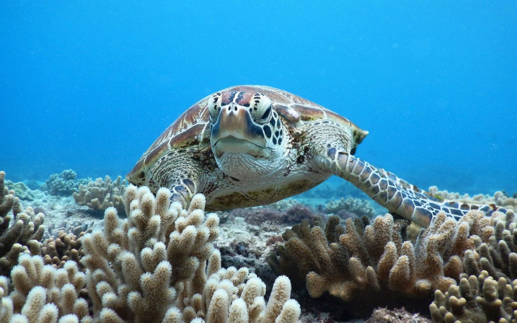 Silver Week Miyako Island Trip!