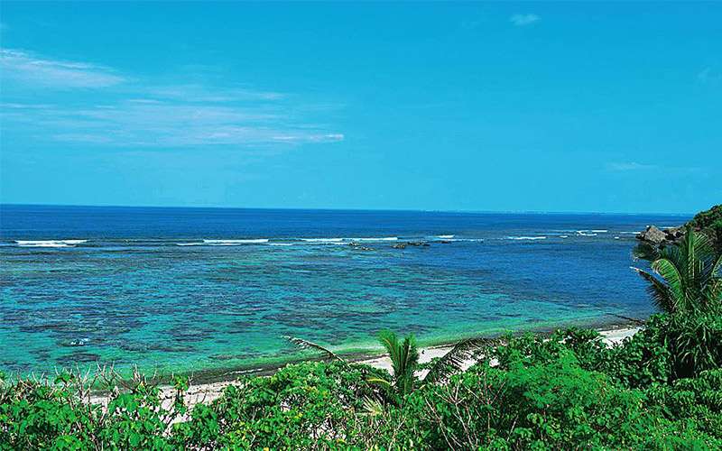 요나하마에하마